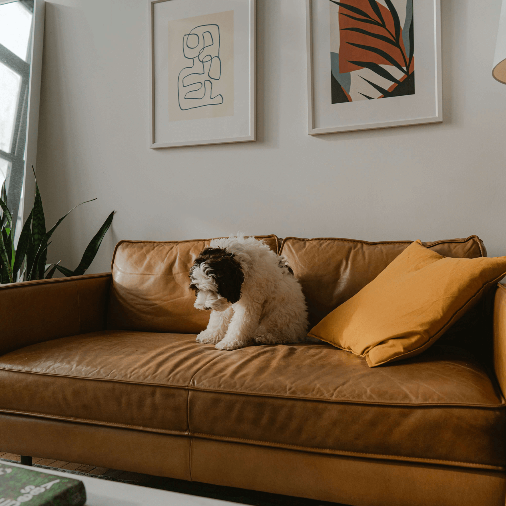 ingatlanfelújítás